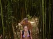 DSC00250