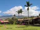 b wailea-124