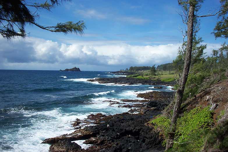 hana-view2